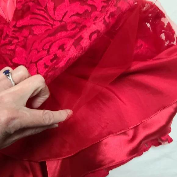 Ted Braker Elegant Red Lace Dress, size 2 - Picture 13 of 16